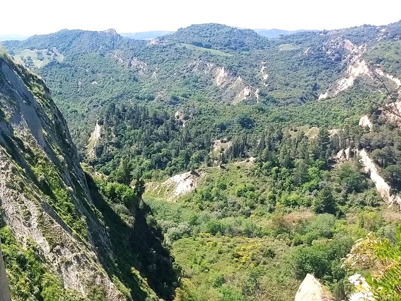 La valle dei calanchi di Aliano, verde di boschi e di macchia, nella collina materana